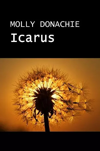 Icarus cover