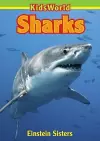 Sharks cover