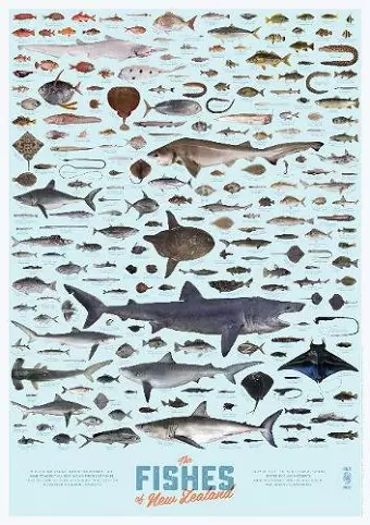 The Fishes of New Zealand poster (individual poster) cover