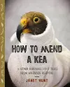 How to Mend a Kea cover
