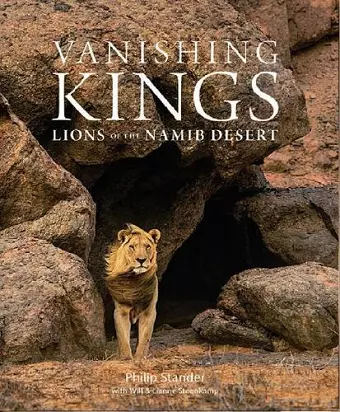 Vanishing Kings cover