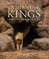 Vanishing Kings cover