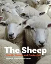 The Sheep cover
