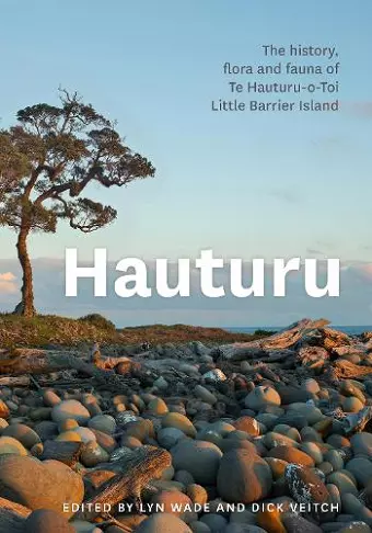 Hauturu cover