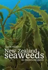 New Zealand Seaweeds cover
