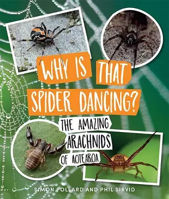 Why Is That Spider Dancing? cover