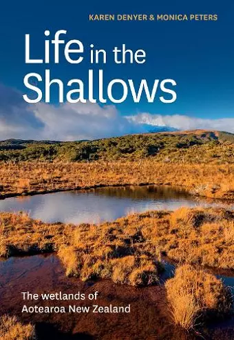 Life in the Shallows cover