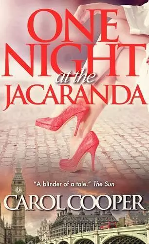 One Night at the Jacaranda cover