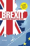 Brexit: What the Hell Happens Now? cover