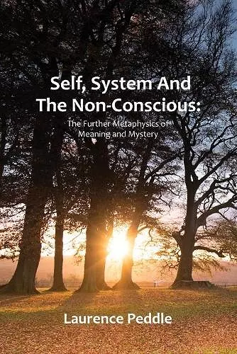 Self, System and the Non-Conscious cover