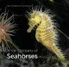 In the Company of Seahorses cover