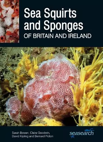 Sea Squirts and Sponges of Britain and Ireland cover