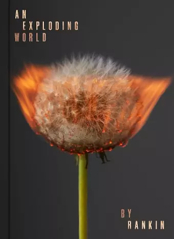 An Exploding World cover