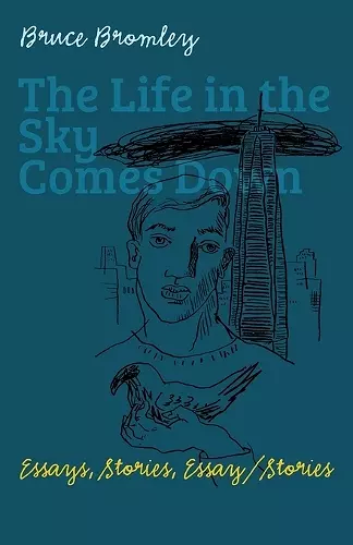 The Life in the Sky Comes Down cover