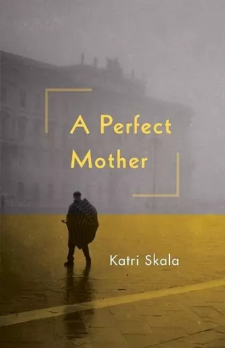 A Perfect Mother cover