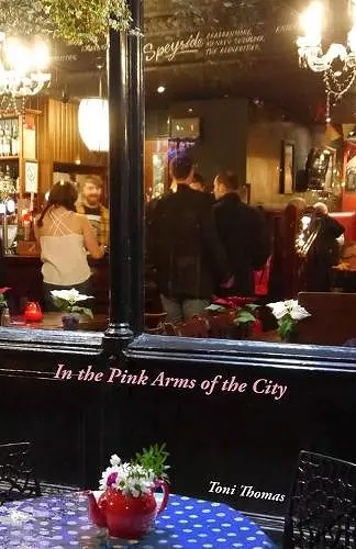 In the Pink Arms of the City cover