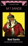 Bad Santa cover