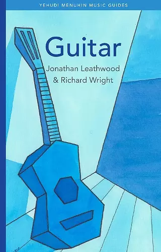 Guitar cover