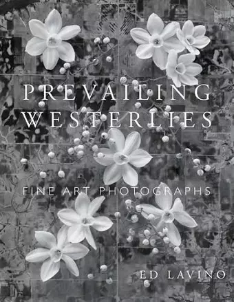 Prevailing Westerlies cover