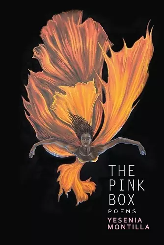 The Pink Box cover