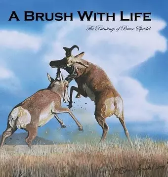 A Brush With Life cover