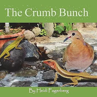 The Crumb Bunch cover