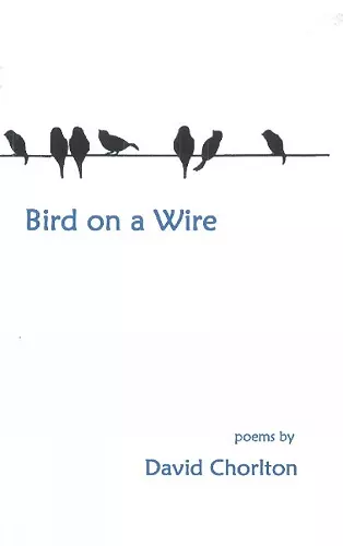 Bird on a Wire cover