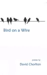 Bird on a Wire cover