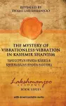 The Mystery of Vibrationless-Vibration in Kashmir Shaivism cover