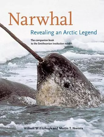 Narwhal cover