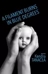 A Filament Burns in Blue Degrees cover