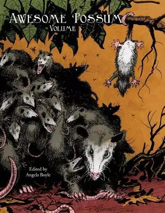 Awesome 'Possum, Volume 3 cover