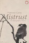 Mistrust – An Ethnographic Theory cover