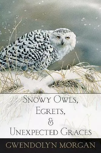 Snowy Owls, Egrets, and Unexpected Graces cover