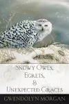 Snowy Owls, Egrets, and Unexpected Graces cover