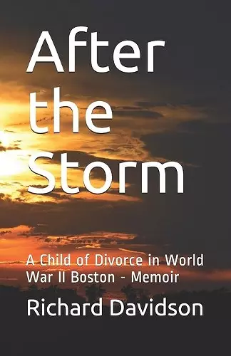 After the Storm cover