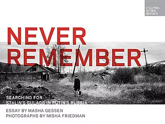 Never Remember cover
