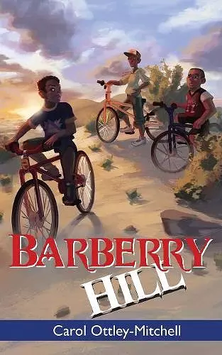 Barberry Hill cover