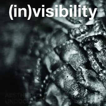 (in)visibility cover