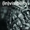 (in)visibility cover