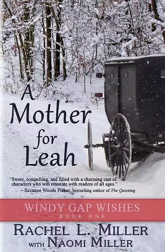 A Mother For Leah cover