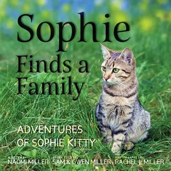 Sophie Finds a Family cover