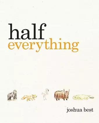 Half Everything cover