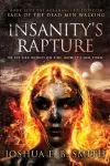 Insanity's Rapture cover