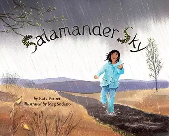 Salamander Sky cover