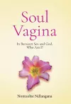 Soul Vagina cover