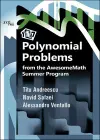 117 Polynomial Problems from the AwesomeMath Summer Program cover