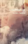 A Fire Without Light cover