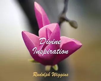 Divine Inspiration cover