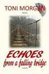 Echoes from a Falling Bridge cover